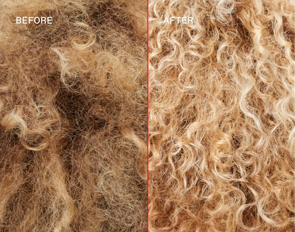 OLAPLEX PASO Nº5P
