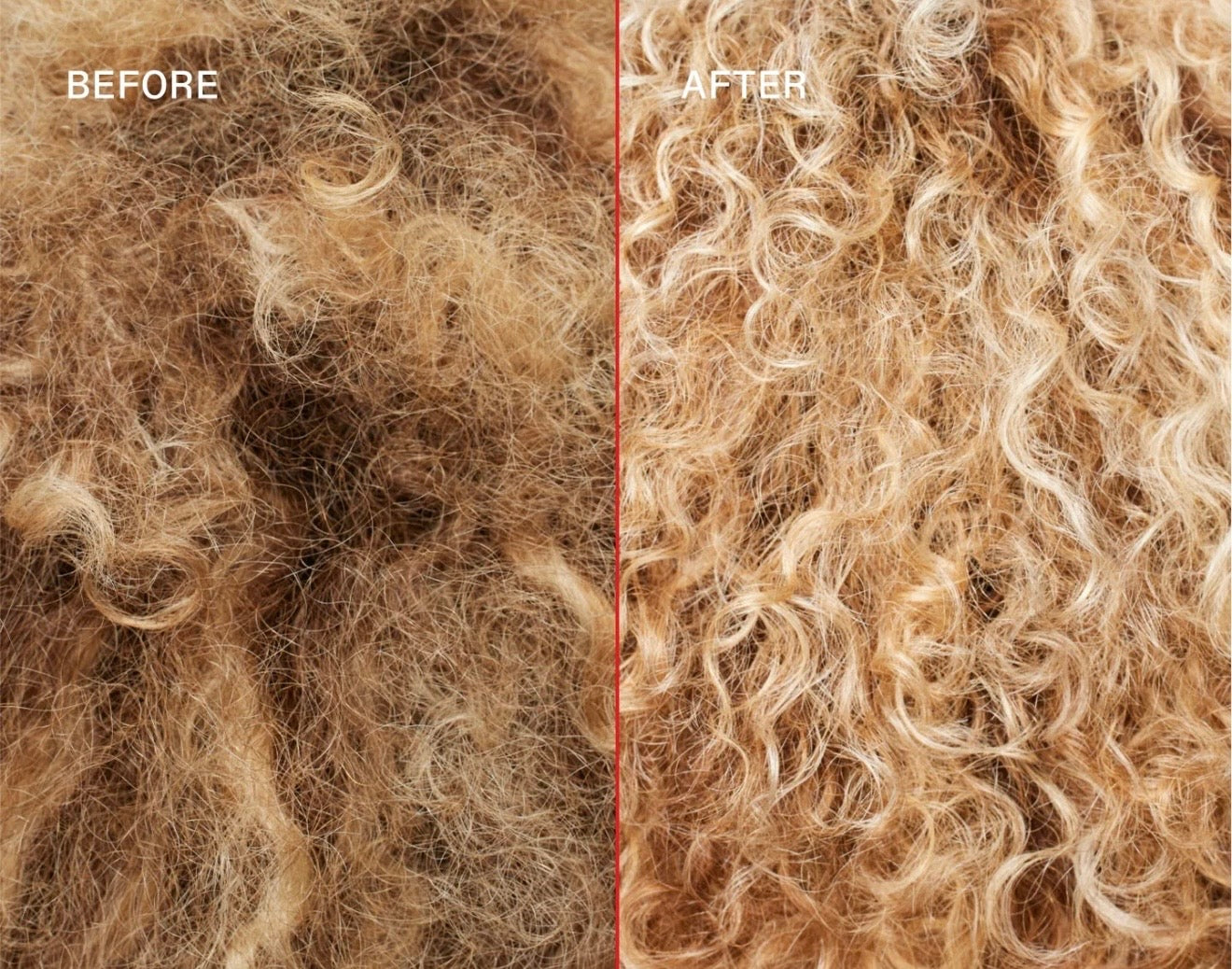 OLAPLEX PASO Nº5P